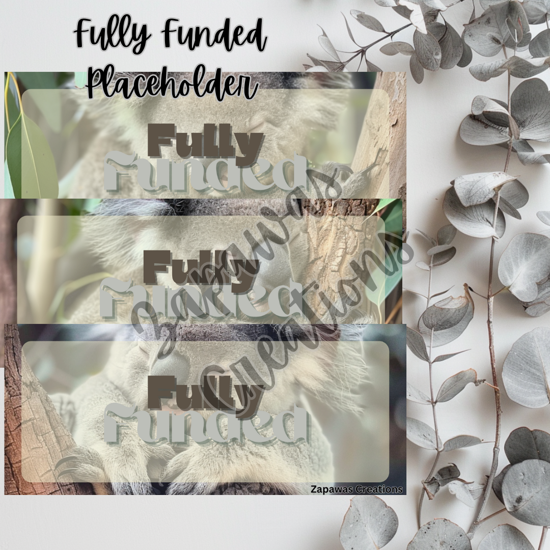 Money Placeholder | Koala Theme Digital Download | Fully Funded Slips | Set of 3