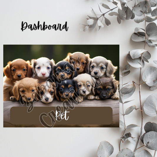 Pet Dashboard 5x7 | Digital Download | Cash Budgeting | Printable